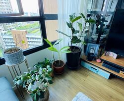 Blk 365C Hougang Meadow (Hougang), HDB 4 Rooms #323561271